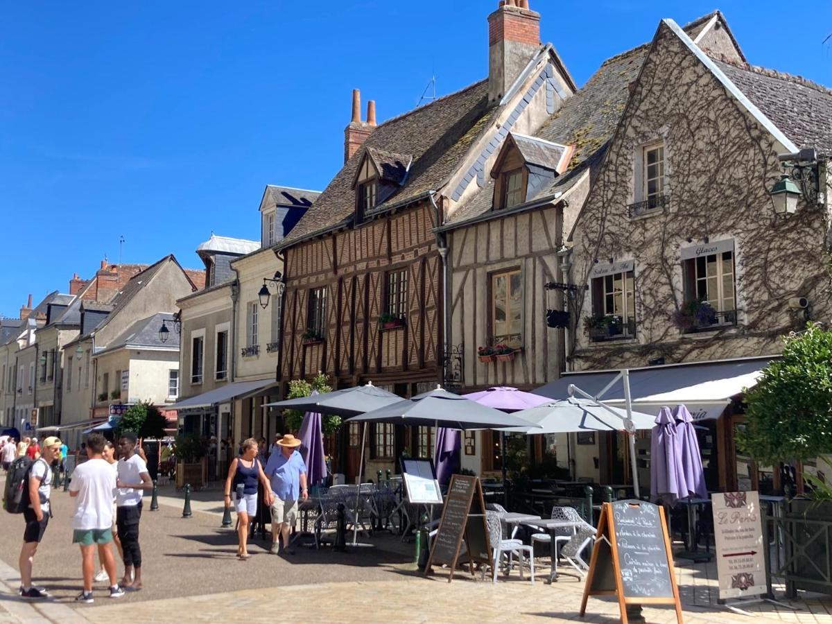 L'Amboisienne, Au Pays Des Chateaux Amboise Exterior photo